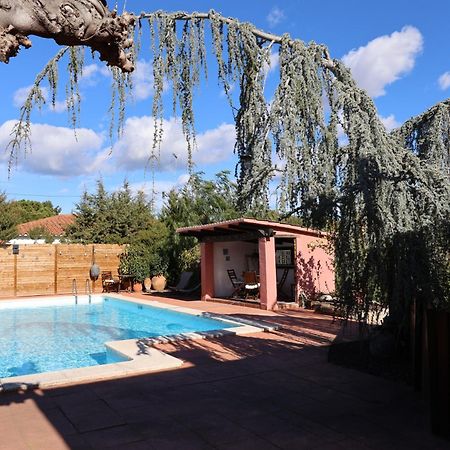 El Cedre Blau Vivienda Con Piscina En Granollersヴィラ エクステリア 写真
