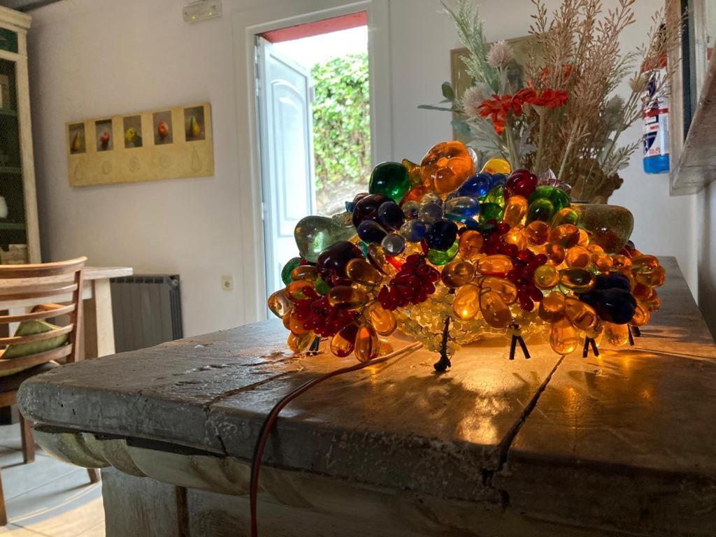 El Cedre Blau Vivienda Con Piscina En Granollersヴィラ エクステリア 写真